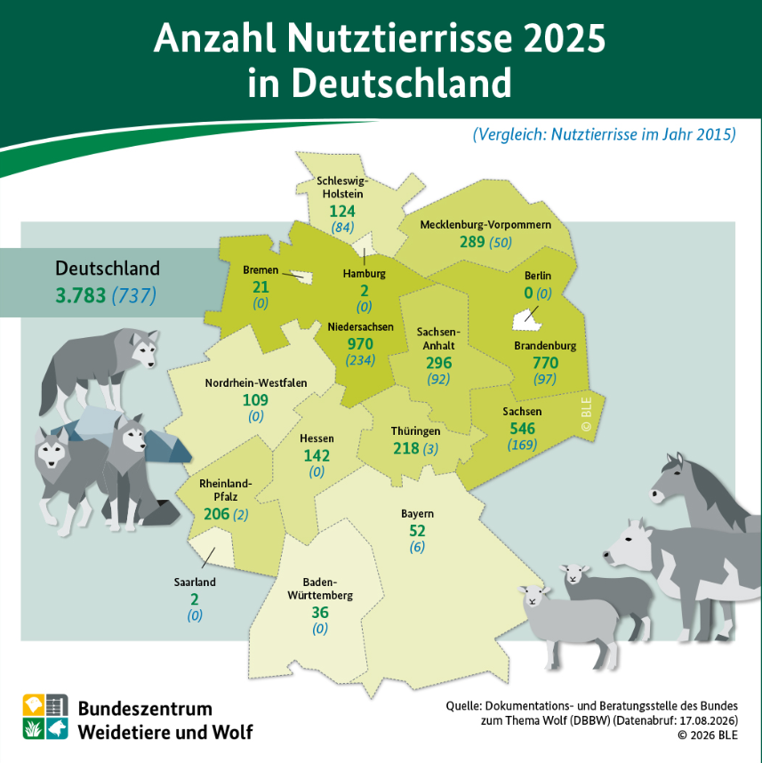 BZL Grafik Nutztierrisse 2025 In Deutschland