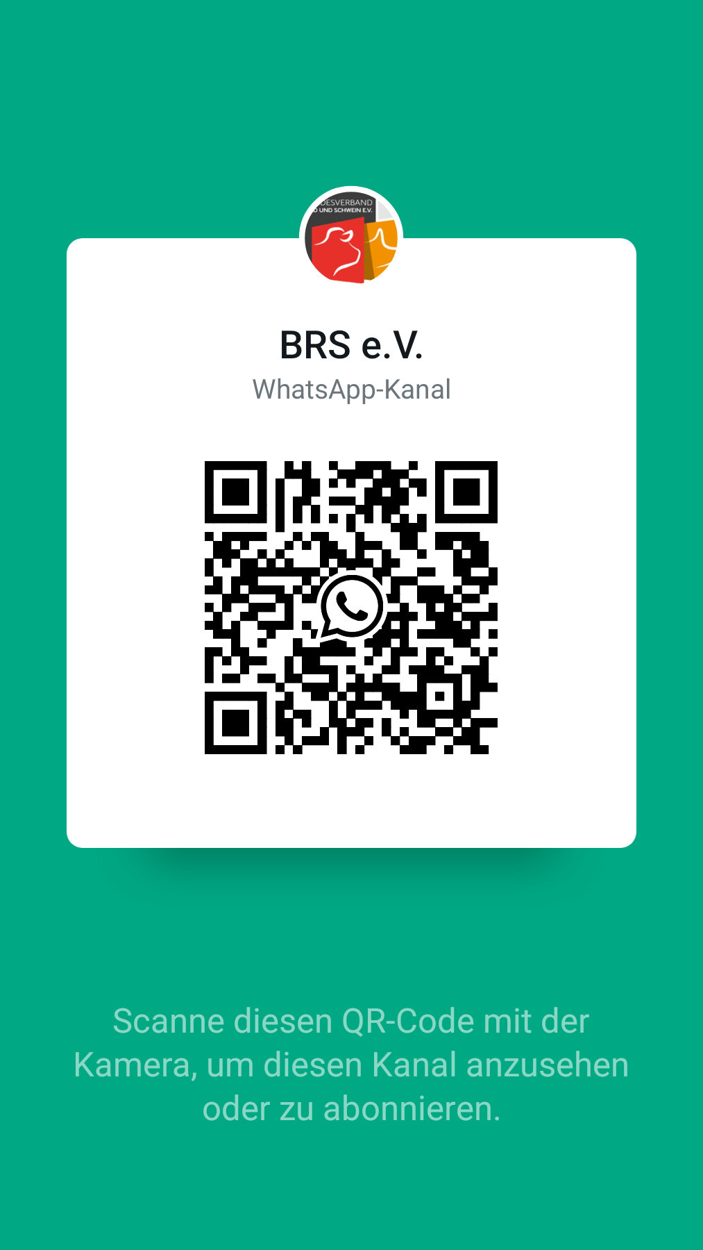 Shared Qr Code