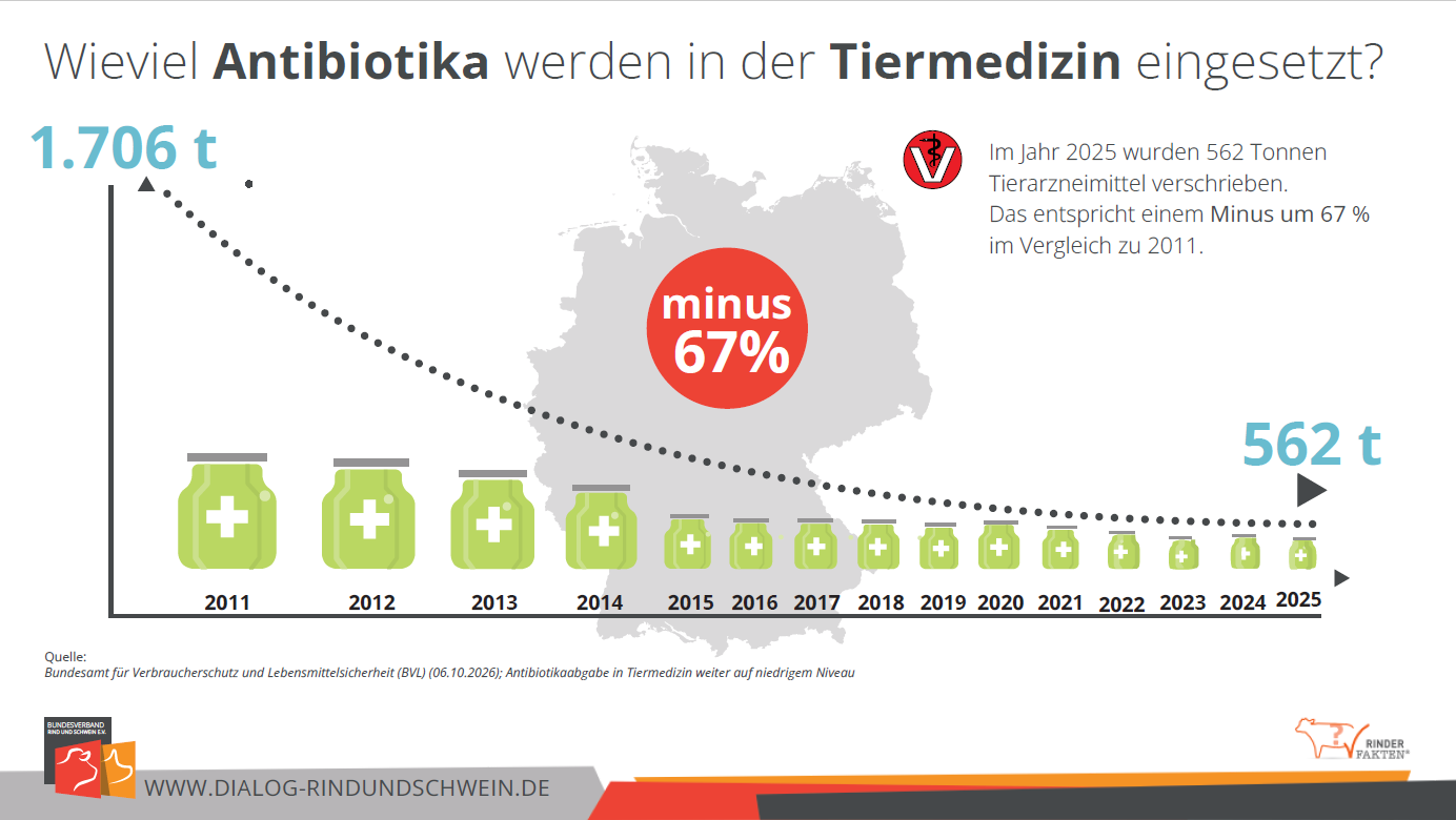 Entwicklung Antibiotikaeinsatz Tierhaltung