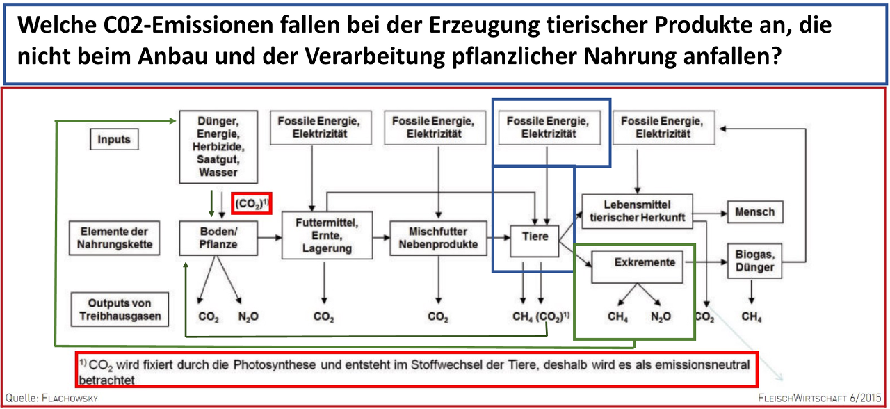 Treibhausgasquellen in der Tierproduktion (Flachowsky et. al., 2015)
