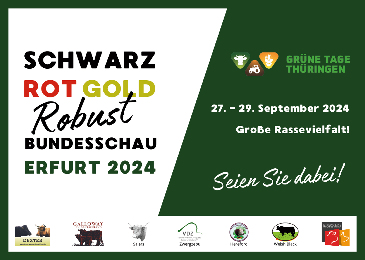 Bundesschau Schwarz Rot Gold Robust 2024