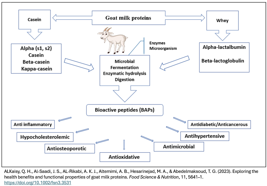 Exploring the health benefits and functional properties of goat milk proteins