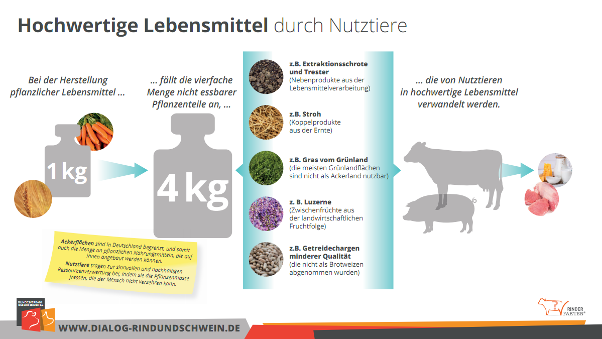 4 Kg Futter Je Kg Pfl Lebensmittel