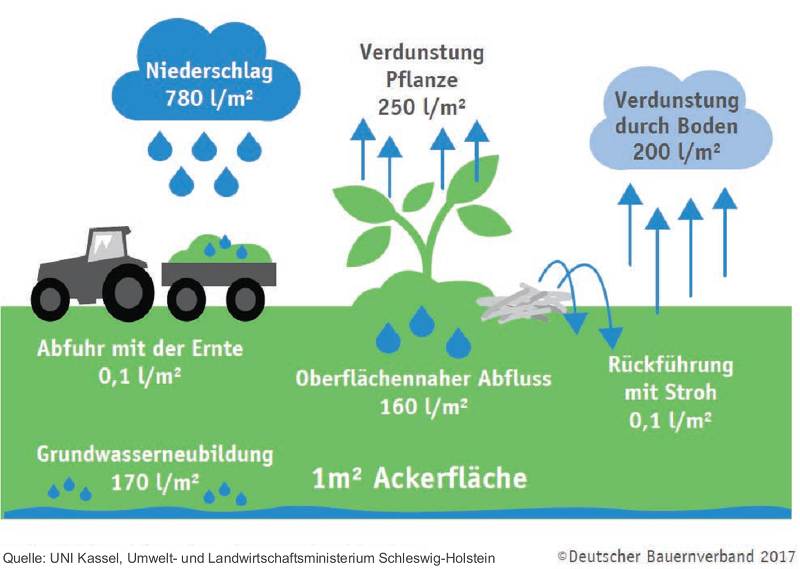 Wasserkreislauf (DBV)