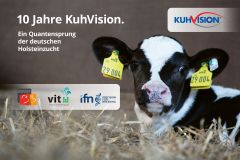 10 Jahre KuhVision
© Dorothee Warder