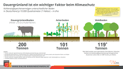 Kohlenstoff Speichervermögen Dauergrünland