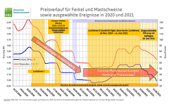 (c)DBV: Preisverlauf Schweinemarkt