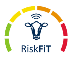 RiskFiT