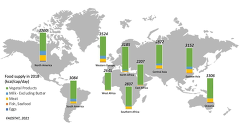 2021 FAO Food Suply