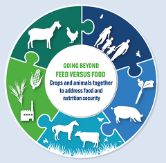 ATF Sustainable Agriculture Livestock