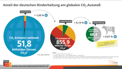 Anteil Rinderhaltung Am Globalen CO2 Ausstoß