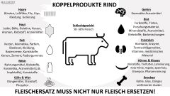 Dr. Malte Rubach: Koppelprodukte