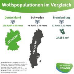 (c)DBV: Wolfsrudel im Ländervergleich