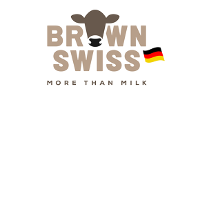BrownSwiss-Kachel2