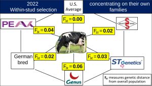 Abb. 1: Populationsstruktur der US-Holstein-Population im Jahr 2022
© Tom Lawlor