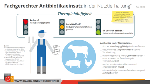 Fachgerechter Antibiotikaeinsatz Nutztierhaltung