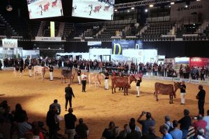 Die Champions der German Dairy Show 2019