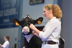 (c)Foto Dorothee Warder: Fenna Gödecke holt Gesamtsiegertitel auf der 7. Junior Open Show in Cremona