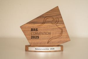 BRS Award 2025
© BRS