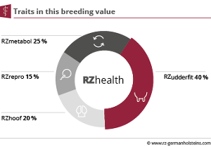 Composition of the RZhealth