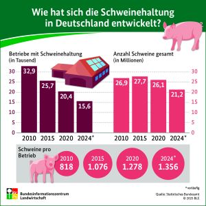 BZL Infografik Schweinehaltung 2024