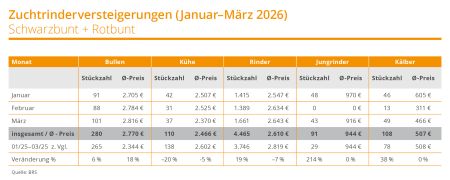 26 3463 BRS Tabelle Zuchtrindversteigerung 1. Quartal 26