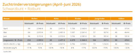 Zuchtrinderversteigerungen 2. Quartal 2026
© BRS