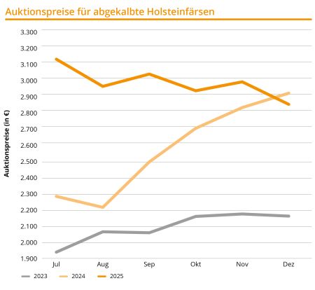 Quartalszahlen OKT–DEZ 2025