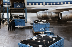 Flughafen Import aus Amerika
© BRS Flughafen Import aus Amerika
© BRS