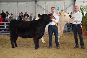 (c)Foto Carolin Nagel: Michael Wicke (links) ist der neue Vorführ-Bundessieger der alten Altersklasse (18 bis 25 Jahre). Jan Einemann (rechts) wurde Reservesieger (c)Foto Carolin Nagel: Michael Wicke (links) ist der neue Vorführ-Bundessieger der alten Altersklasse (18 bis 25 Jahre). Jan Einemann (rechts) wurde Reservesieger
