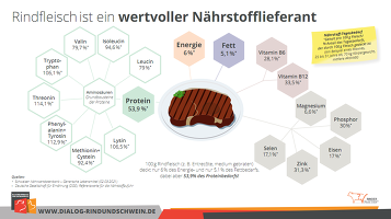 Rindfleisch Ist Ein Wertvoller Nährstofflieferant Rindfleisch Ist Ein Wertvoller Nährstofflieferant