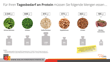 Tagesbedarf An Protein Tagesbedarf An Protein